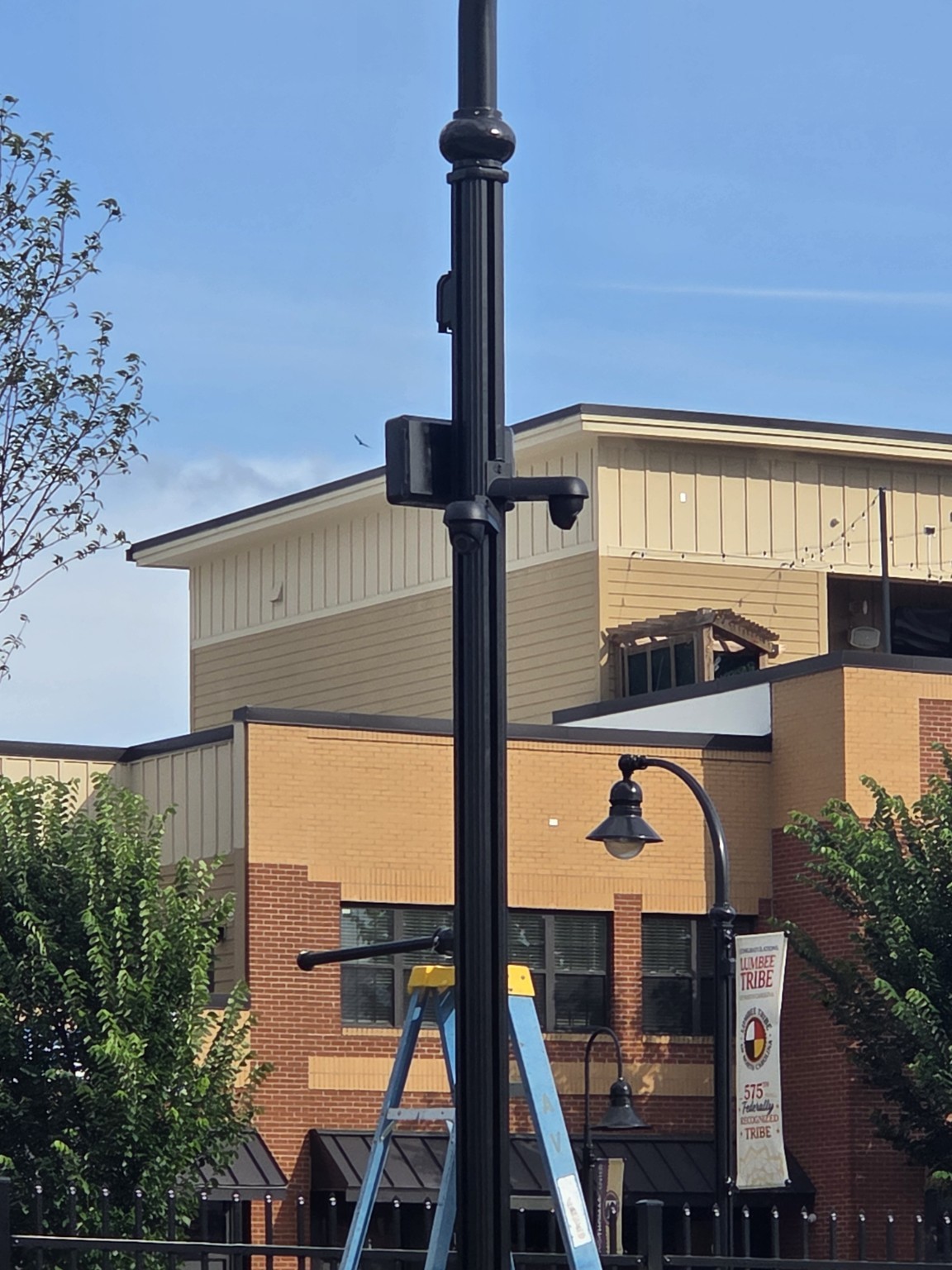 Pole-Mounted Security Camera